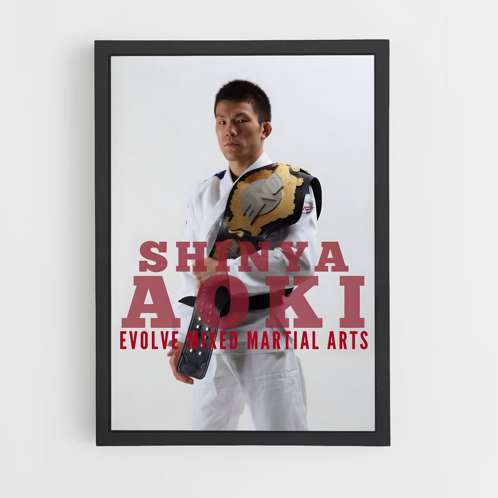 Poster Aoki Evolution – affiche MMA (vue 2)